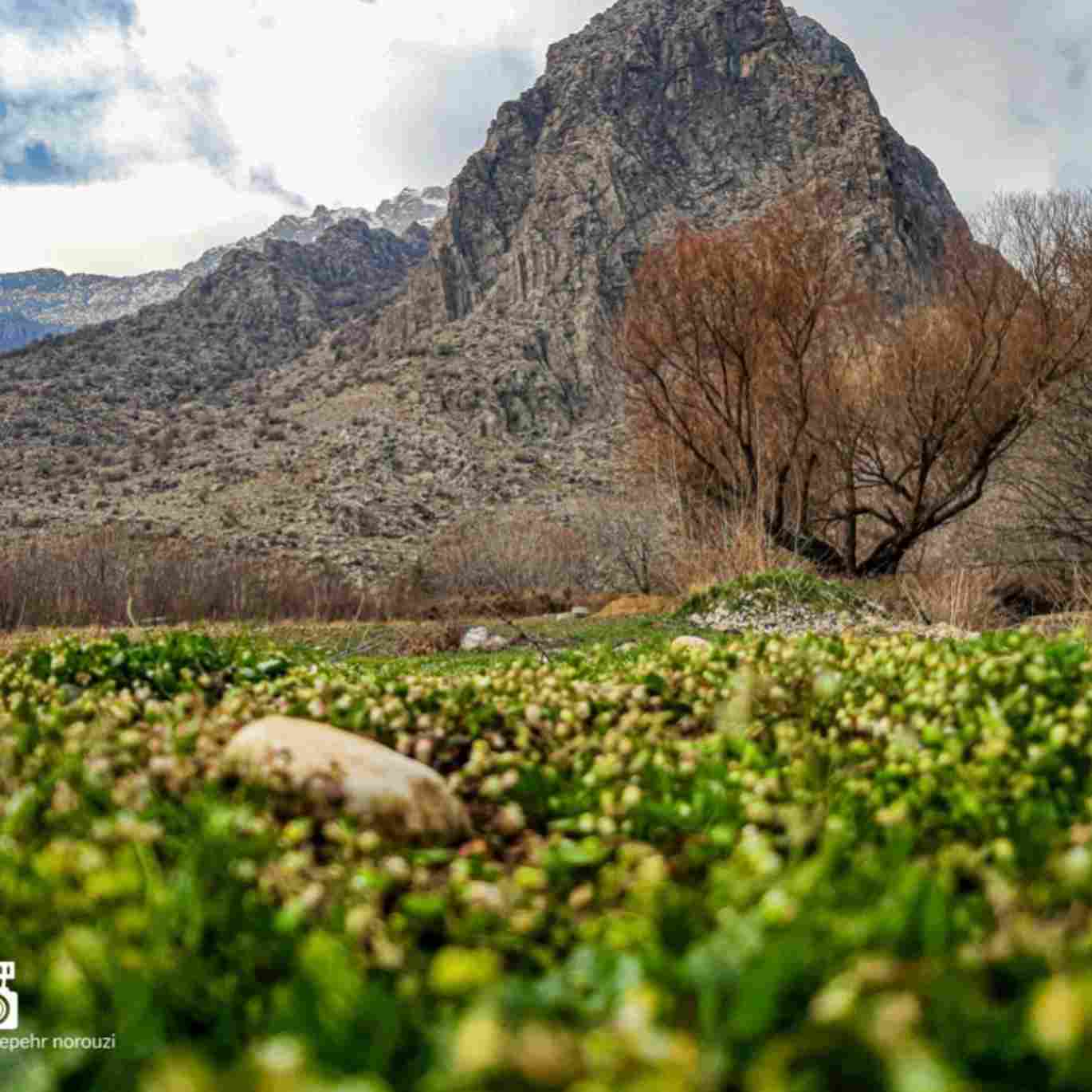 دانلود اهنگ امشب می خوام مست بشم عاشق یک دست بشم